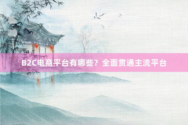 B2C电商平台有哪些？全面贯通主流平台