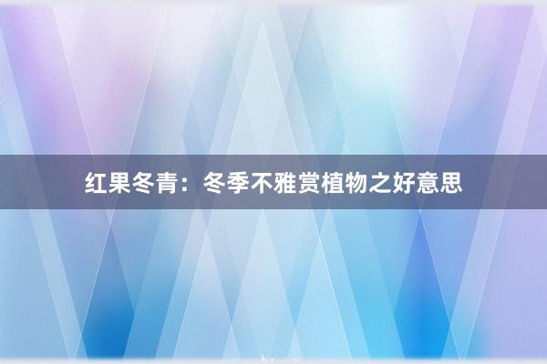 红果冬青：冬季不雅赏植物之好意思