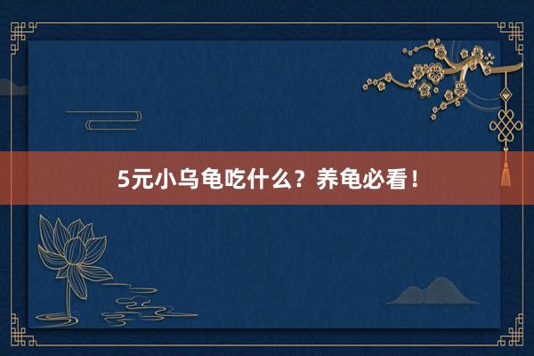 5元小乌龟吃什么？养龟必看！