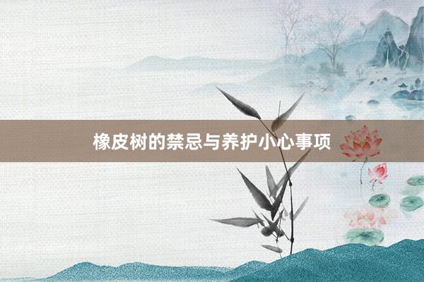 橡皮树的禁忌与养护小心事项